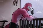 anthro beak clothed clothing dialogue feathered_wings feathers male muscular muscular_anthro muscular_male nipples pink_body pink_feathers raining solo text topless winged_arms wings bgn dylan_(bgn) avian bird flamingo 2016 english_text