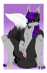 andromorph anthro big_tail bodily_fluids dripping facial_hair fur genital_fluids genitals grey_body grey_fur hair intersex long_hair looking_at_viewer purple_eyes purple_hair pussy smug solo spread_legs spread_pussy spreading tail vaginal_fluids devyshirehell jack_(neojack) canid canine canis jackal mammal absurd_res hi_res