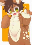 :d ambiguous_gender anthro blush blush_lines body_blush brown_body brown_fur brown_hair brown_tail cheek_tuft countershading crotch_tuft cute_fangs facial_tuft fangs fur green_eyes hair kemono looking_at_viewer male markings multicolored_body navel neck_tuft open_mouth paws raised_paw simple_background smile solo star tail teeth tuft two_tone_body two_tone_tail white_body white_fur young young_anthro young_male dinogaize flip_bunny lagomorph leporid mammal rabbit 2022 digital_drawing_(artwork) digital_media_(artwork)