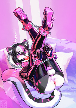 anthro anus ball_gag balls bdsm black_body black_fur bondage bound butt chain chain_leash chastity_cage chastity_device clothing collar cuff_(restraint) cuffed_ankles cuffed_wrists ear_piercing ear_ring femboy footwear fur gag gagged genitals high_heels highlights_(coloring) latex latex_clothing latex_legwear latex_thigh_highs leash legs_up legwear lying male on_back perineum piercing pillow pink_anus pink_chastity_cage pink_eyes pink_highlights presenting presenting_anus presenting_hindquarters restraints ring_piercing shoes solid_chastity_cage submissive submissive_male thigh_highs wearing_chastity_cage wearing_chastity_device white_body white_fur white_highlights alexa_neon kimi_(zari) domestic_cat felid feline felis mammal hi_res