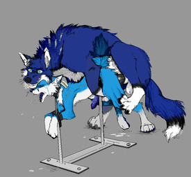 anal anal_penetration animal_genitalia animal_penis anthro anthro_penetrated balls bdsm bodily_fluids bondage bound canine_genitalia canine_penis crazed_look crying drugs duo ear_piercing ear_tag erection feral feral_penetrating foaming_at_mouth forced from_behind_position genitals knot knotted_penis large_penetration male male/male male_feral male_penetrated male_penetrating male_penetrating_male mating_grip mounting open_mouth penetration penile penile_penetration penis piercing rape rape_play restrained restraints sex sheath tears jeffusherb bloudin_(whatisdamatter) bluefox_(theonlybluefox) canid canine canis fox mammal wolf
