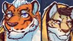 anthro clothing countershading duo hoodie male topwear ghost_thewolf nekojishi studio_klondike likulau lin_hu clouded_leopard felid mammal pantherine tiger 2018 absurd_res hi_res