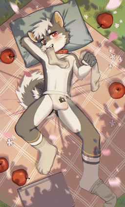 anthro apple blush bulge clothing collar detailed_bulge flower food footwear fruit fur genitals grass grey_body grey_fur hair humanoid_genitalia humanoid_penis jockstrap lock_bulge male penis picnic pillow plant public red_collar shota slim socks solo submissive submissive_anthro submissive_male submissive_young underwear white_body white_clothing white_footwear white_fur white_hair white_jockstrap white_socks white_underwear young aak_kalu08 canid canine canis mammal wolf absurd_res hi_res