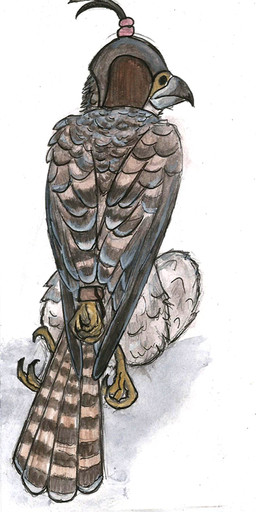 ambiguous_gender anthro bdsm beak blindfold bondage bound brown_body brown_feathers falconry falconry_hood feathered_wings feathers feet feral grey_beak hands_behind_back hood hooded kneeling leather leather_helmet multicolored_body multicolored_feathers restrained sensory_deprivation sensory_deprivation_helmet solo talons toes wings corsack accipitrid accipitriform avian bird