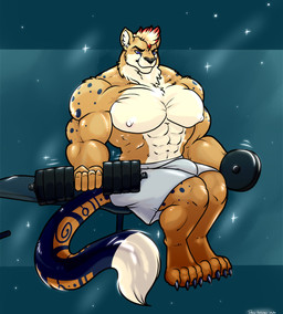 anthro bottomwear bulge clothed clothing cosmic_background exercise male muscular muscular_anthro muscular_male nipples shorts sitting solo star starry_background weight_bench weightlifting weights workout danji-isthmus canid canine cheetah felid feline fox hybrid mammal digital_drawing_(artwork) digital_media_(artwork) hi_res