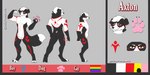 anthro male muscular solo rubypandaarts axton border_collie canid canine canis collie domestic_dog herding_dog mammal pastoral_dog sheepdog absurd_res hi_res model_sheet