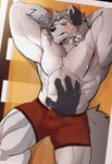 abs anthro armpit_hair beard belly_rub blush bodily_fluids body_hair boxer_briefs bulge clothing ear_rub facial_hair male muscular muscular_anthro muscular_male pecs sleeping solo sweat sweatdrop underwear mono_g voltus_traydor canid canine canis mammal wolf hi_res