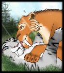 blue_eyes canon_couple duo fangs female feral fur green_eyes licking male orange_body orange_fur romantic romantic_couple sabertooth_(anatomy) teeth tongue tongue_out white_body white_fur dariusfairfall blue_sky_studios ice_age_(series) diego_(ice_age) shira_(ice_age) felid mammal pantherine prehistoric_species saber-toothed_tiger tiger