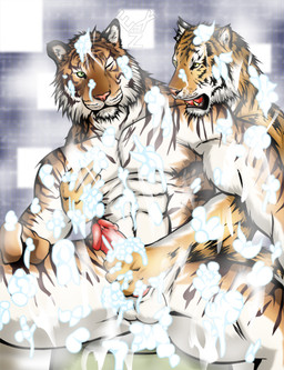 balls bath duo erection genitals handjob humanoid_genitalia humanoid_penis male male/male muscular nude one_eye_closed penile penis sex sitting suds water exz felid mammal pantherine tiger