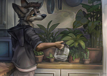 4_fingers anthro appliance biped black_nose blue_eyes brown_body brown_fur cabinet cactus cheek_tuft clothed clothing countershade_face countershading eyebrows facial_tuft fingerless_(marking) fingers fully_clothed fur grey_clothing grey_hoodie grey_topwear half-closed_eyes head_tuft holding_object hoodie inside kitchen kitchen_appliance kitchen_cabinet looking_at_object male microwave_oven multicolored_body multicolored_fur narrowed_eyes neck_tuft pan plant pockets pointy_ears prick_ears rolled_up_sleeves shirt solo standing tan_body tan_fur tile tile_wall topwear tuft wall_(structure) water watering_can whisker_spots whiskers white_body white_clothing white_fur white_shirt white_topwear jacato geo! canid canine canis coyote mammal 2021 digital_media_(artwork) digital_painting_(artwork) hi_res painting_(artwork) signature