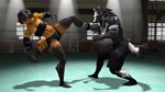 anthro black_hair black_sclera blocking boxing_shorts clothing duo female fighting_ring fur grin hair handwear kick male multicolored_body multicolored_fur smile sport wolfikous petruz_(copyright) wolf_(petruz) canid canine canis mammal wolf 16:9 3d_(artwork) digital_media_(artwork) hi_res source_filmmaker_(artwork) widescreen