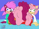 5_toes barefoot duo feet female foot_fetish foot_focus soles toes sorcererlance sega sonic_the_hedgehog_(series) sonic_underground amy_rose sonia_the_hedgehog eulipotyphlan hedgehog mammal 4:3