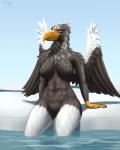 anthro beak big_breasts biped breasts featureless_breasts female genitals non-mammal_breasts outside pussy sitting solo water testowepiwko accipitrid accipitriform avian bird eagle sea_eagle steller's_sea_eagle 4:5 hi_res