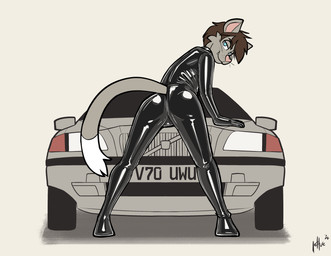 anthro black_bodysuit black_clothing black_latex black_skinsuit bodysuit brown_hair butt car clothed clothed_anthro clothed_male clothing fur grey_body grey_fur hair latex latex_bodysuit latex_clothing latex_skinsuit looking_at_viewer looking_back looking_back_at_viewer male multicolored_body multicolored_fur presenting presenting_hindquarters simple_background skinsuit solo tail tight_clothing two_tone_body two_tone_fur vehicle whiskers white_body white_fur lettuce_(artist) volvo_(car) volvo_v70 pi_(thepiguy24) domestic_cat felid feline felis mammal 2026 absurd_res hi_res