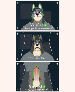 anthro balls check_mark clothed clothing erection eyebrows eyewear fur genitals glans glasses hair humanoid_genitalia humanoid_penis humor looking_at_viewer male multicolored_body multicolored_fur open_mouth penis pointy_ears pubes shirt smile smiling_at_viewer solo text topwear two_tone_body two_tone_fur verification yiffmaxxing face_verification_meme canid canine mammal 2025 comic digital_media_(artwork) english_text hi_res