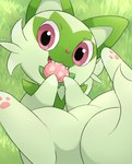 ambiguous_gender featureless_crotch feral fur grass green_body green_fur lying on_back pawpads pink_eyes plant quadruped solo rumine nintendo pokemon generation_9_pokemon pokemon_(species) sprigatito hi_res