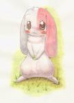 :3 blush brown_eyes eyelashes female feral fur grass japanese long_ears pink_body pink_fur plant shamrock short_fur simple_background smile solo ryou_(supinosa-doragon) happy_happy_clover pixiv sayuri_tatsuyama mallow_(happy_happy_clover) domestic_rabbit lagomorph leporid lop_rabbit mammal oryctolagus rabbit