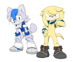 clothing duo footwear gesture hand_gesture pointing shoes durg_(artist) sega sonic_the_hedgehog_(series) fan_character canid canine canis domestic_dog echidna mammal monotreme shiba_inu spitz