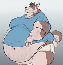 anthro belly belly_hair big_belly body_hair brown_body brown_fur brown_hair clothed clothing clothing_pull fupa fur hair hairy looking_at_self looking_down looking_down_at_self male moobs navel obese obese_anthro obese_male overweight overweight_anthro overweight_male shirt shirt_pull solo standing tight_clothing topwear topwear_pull underwear crispyporkboi canid canine canis domestic_dog husky mammal nordic_sled_dog spitz hi_res