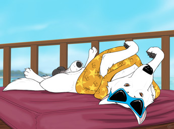 animal_genitalia balls eyewear feral fur genitals male sheath solo sunglasses tail white_body white_fur consensualcanine blake_(consensualcanine) canid canine canis domestic_dog german_shepherd herding_dog mammal pastoral_dog absurd_res hi_res