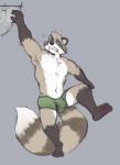 2019 anthro bulge clothing countershading humanoid_hands male mammal minedoo navel procyonid raccoon simple_background solo underwear