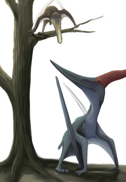 ambiguous_gender beak cautious duo feral membrane_(anatomy) membranous_wings plant red_crest stare teeth tree wings wezdarchid piksi prehistoric_species pteranodon pteranodontid pterosaur reptile scalie hi_res
