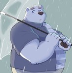 anthro belly black_nose bottomwear clothing fur humanoid_hands kemono male outside overweight overweight_anthro overweight_male pants raining shirt solo topwear umbrella white_body white_fur 12beat13 utau shirane_kan bear mammal polar_bear ursine 2021