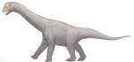 ambiguous_gender angle_view bone_frill claws feral frill_(anatomy) grey_body grey_skin long_neck looking_at_viewer open_mouth quadruped side_view simple_background solo standing tail walking zw3 camarasaurid camarasaurus dinosaur prehistoric_species reptile sauropod sauropodomorph scalie 2023 absurd_res digital_media_(artwork) graphite_(artwork) hi_res mixed_media model_sheet shaded traditional_media_(artwork)