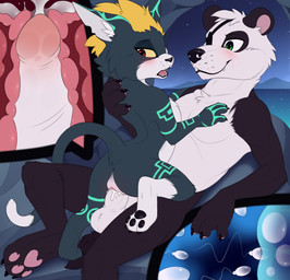 3_toes alternate_species anthro anthro_on_anthro anthro_penetrated anthro_penetrating anthro_penetrating_anthro anus arm_markings balls biped black_body black_ears black_eye_patch black_eyewear black_fur black_markings black_nose black_pawpads black_tail blush blush_lines bodily_fluids cervical_contact claws cowgirl_position crescent_moon cum cum_from_vagina cum_in_uterus cum_in_vagina cum_inside cutaway digitigrade dipstick_tail duo ear_markings ejaculation eye_patch eyewear facial_markings fangs feet female female_anthro female_on_top female_penetrated finger_claws from_front_position fur furrification genital_fluids genitals green_eyes green_markings hair hand_behind_head hand_markings hand_on_chest head_markings humanoid_genitalia humanoid_penis impregnation impregnation_view inner_ear_fluff internal internal_vaginal interspecies interspecies_impregnation larger_male leg_markings looking_at_another looking_at_partner looking_back lying male male/female male_anthro male_on_bottom male_penetrating male_penetrating_female markings mask_(marking) moon multicolored_body multicolored_fur multicolored_tail night nude nude_anthro nude_female nude_male on_back on_bottom on_top open_mouth orange_hair ovum partially_submerged pawpads penetration penile penile_penetration penis penis_in_vagina pink_inner_ear pink_penis pink_vulva red_blush red_eyes rock round_ears seaside sex size_difference sky smaller_female smaller_penetrated snout sperm_cell star starry_sky tail tail_markings teeth toe_claws toes tongue tuft two_tone_body two_tone_fur two_tone_tail uterus vaginal vaginal_canal vaginal_penetration vulva water white_balls white_body white_fur white_hair white_inner_ear white_inner_ear_fluff white_penis white_tail white_tail_tip yellow_sclera meraence nintendo the_legend_of_zelda twilight_princess midna stiban_(character) bear domestic_cat felid feline felis giant_panda mammal 2022 digital_media_(artwork)