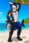 anthro beach big_bulge black_body bulge clothing detailed_bulge genital_outline harness jockstrap male muscular penis_outline seaside solo tail underwear white_body cleini mythology achyx dragon fish hybrid marine mythological_creature mythological_scalie scalie shark 2:3 absurd_res hi_res