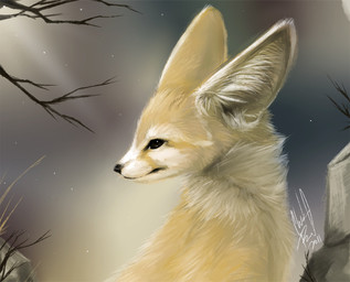 2011 ambiguous_gender black_eyes black_nose branch canid canine cheek_tuft danji-isthmus dated detailed_background digital_media_(artwork) digital_painting_(artwork) facial_tuft fennec feral fox fur fur_markings half-length_portrait inner_ear_fluff looking_away looking_back mammal markings multicolored_body multicolored_fur neck_tuft night nude outside portrait quadruped side_view signature sitting sky solo star tan_body tan_fur tree tuft two_tone_body two_tone_fur white_body white_furRating: SafeScore: 18User: ajkDate: January 15, 2020