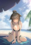 accessory beach bikini bikini_bottom bikini_top bodily_fluids breasts brown_hair clothing cloud day dessert female food food_fetish hair hair_accessory hairclip ice_cream outside palm_tree plant seaside solo suggestive suggestive_food sweat swimwear towel tree two-piece_swimsuit jiusan_naitan arknights hypergryph studio_montagne cutter_(arknights) animal_humanoid canid canid_humanoid humanoid mammal mammal_humanoid 2020 absurd_res hi_res