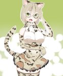 absolute_territory armwear bottomwear breasts clothing cute_fangs elbow_gloves fangs female fur gloves green_eyes hair handwear legwear looking_at_viewer multicolored_clothing open_mouth pink_tongue skirt solo teeth tongue denyfake kemono_friends margay_(kemono_friends) animal_humanoid felid felid_humanoid feline feline_humanoid humanoid leopardus leopardus_humanoid mammal mammal_humanoid margay_humanoid 2017 hi_res portrait three-quarter_portrait