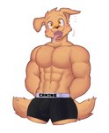 :3 anthro bodily_fluids boxer_briefs boxer_briefs_only bulge clothed clothing detailed_bulge drooling floppy_ears happy male muscular muscular_male no_thoughts saliva solo tail tail_motion tailwag tight_clothing tight_underwear tongue tongue_out topless underwear underwear_only yellow_eyes leoguardianz whiteleo bird_dog canid canine canis domestic_dog golden_retriever hunting_dog mammal retriever absurd_res hi_res