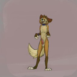 animal_genitalia animal_penis anthro aroused blush bodily_fluids canine_genitalia canine_penis collar cuff_(restraint) drooling drooling_tongue ears_down erection fluffy fluffy_tail front_view genitals handcuffs knot knotted_penis looking_pleasured male metal_cuffs narrowed_eyes nude penis pivoted_ears purple_collar restraints saliva solo standing tail allegrofox allegro_(allegrofox) canid canine fox mammal red_fox true_fox 1:1 2025 digital_drawing_(artwork) digital_media_(artwork) hi_res