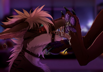 anthro bdsm bedroom black_claws blue_eyes blurred_background blush bodily_fluids bondage bondage_gear bound claws collar collar_only duo ear_piercing ear_ring feet fluffy fluffy_chest foot_fetish foot_focus foot_lick foot_play gag hair licking long_hair looking_pleasured looking_up looking_up_at_partner male male/male neck_tuft night nude pawpads paws piercing ring_gag ring_piercing saliva saliva_on_foot saliva_on_tongue saliva_string submissive submissive_anthro submissive_male tongue tongue_out tuft worship naahva royal_vernid vernid hi_res