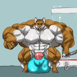 4_toes 5_fingers abs anthro balls_outline barazoku barely_contained barely_contained_penis biceps big_bulge big_muscles big_pecs big_penis biped black_claws black_finger_claws black_nose blue_clothing blue_thong blue_underwear brown_body brown_ears brown_fur brown_hair bulge calf_muscles claws clothed clothed_anthro clothed_male clothing countershade_arms countershade_face countershade_feet countershade_fur countershade_hands countershade_legs countershade_neck countershade_torso countershading deltoids detailed_bulge feet fingers forearm_muscles front_view fur genital_outline genitals gesture glans hair hand_gesture holding_hose holding_tube hose huge_bulge huge_muscles huge_pecs huge_penis humanoid_genitalia humanoid_hands humanoid_penis hyper hyper_bulge hyper_genitalia hyper_muscles hyper_penis looking_at_viewer male male_anthro multicolored_body multicolored_fur muscular muscular_anthro muscular_arms muscular_male muscular_thighs navel nipples one_eye_closed open_mouth open_smile pecs penis pink_glans pink_nipples pink_penis pink_tongue pointing pointing_at_viewer quads red_liquid short_hair smile smiling_at_viewer solo standing text text_on_clothing text_on_underwear thick_penis thong toes tongue topless topless_anthro topless_male trapezius triceps tube two_tone_body two_tone_fur underwear vat whisker_spots white_body white_countershading white_fur white_inner_ear wink winking_at_viewer oldshep kazu_(oldshep) canid canine canis domestic_dog mammal shiba_inu spitz 1:1 digital_drawing_(artwork) digital_media_(artwork) english_text full-length_portrait hi_res portrait shaded signature
