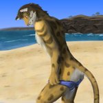 anthro beach blue_clothing blue_swimwear brown_body brown_fur brown_hair bulge butt clothed clothing countershading day fur hair looking_at_viewer male mostly_nude nipples plant sand seaside solo speedo standing swimwear topless tree undressing water white_body white_fur yellow_body yellow_eyes yellow_fur tenecayr_(artist) nekojishi studio_klondike likulau clouded_leopard felid leopard mammal pantherine 1:1 hi_res