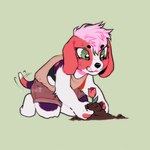 anthro biped chibi flower fur gardening green_eyes hair male pink_hair plant red_body red_fur solo tail tail_motion tailwag white_body white_fur highwayburial canid canine canis domestic_dog mammal 2024 hi_res