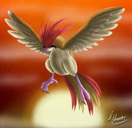 ambiguous_gender beak cloud evening feathered_wings feathers feet feral flying outside sky solo sun sunset talons toes wings viprette nintendo pokemon avian bird generation_1_pokemon pidgeotto pokemon_(species)
