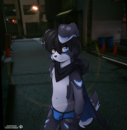 anthro briefs clothing looking_at_viewer male night outside snowdrift solo standing street underwear snowybark border_collie canid canine canis collie domestic_dog herding_dog mammal pastoral_dog sheepdog hi_res