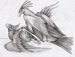 01phoenix01 2019 4_toes accipitriform ambiguous/ambiguous ambiguous_gender anisodactyl ass_up avian avian_feet bird digitigrade duo european_mythology eye_contact feet graphite_(artwork) greek_mythology looking_at_another looking_pleasured lying monochrome mythological_avian mythological_bird mythological_creature mythological_firebird mythology on_front outside pen_(artwork) pencil_(artwork) phoenix raised_tail scuted_feet scutes secretary_bird sex shaded spread_wings tail toes traditional_media_(artwork) wings