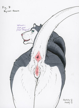 animal_genitalia animal_vulva anus dialogue eyelashes feline_genitalia feline_vulva female female_feral feral fur genitals grey_body grey_fur grey_tail looking_at_viewer looking_back looking_back_at_viewer open_mouth pink_anus pink_nose pink_vulva presenting presenting_anus presenting_vulva raised_tail rear_view simple_background solo tail tail_anus talking_feral teal_eyes text vulva white_background white_body white_fur white_tail sketchy_shelby shelby_(sketchy_shelby) felid mammal 2024 dated english_text hi_res signature