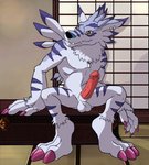 anthro balls ear_piercing ear_ring erection genitals hand_on_object male penis piercing ring_piercing scar sitting smile solo teeth_showing yellow_eyes thegreatmatsutzu bandai_namco digimon digimon_(species) weregarurumon