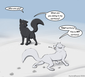 angry argument black_body black_fur blue_eyes confusion digitigrade feral fur growling orange_eyes text white_body white_fur aurorabound aurora_(aurorabound) arctic_fox canid canine fox mammal true_fox english_text hi_res