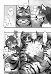 2014 akira_(maririn) anthro balls big_muscles blush bodily_fluids canid canine canis comic dialogue duo english_text erection felid genitals greyscale hi_res humanoid_genitalia humanoid_penis kazuhiro_nakata male male/male mammal maririn monochrome muscular muscular_male pantherine penis sweat text tiger wolf