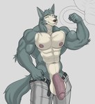 abs anthro balls belt biceps big_balls big_muscles big_penis bottomwear clothed clothing flaccid flexing genitals huge_balls huge_muscles huge_penis humanoid_genitalia humanoid_penis male muscular nipples open_bottomwear open_clothing open_pants pants pecs penis smile solo vein veiny_penis vexedlupine beastars legoshi_(beastars) canid canine canis mammal wolf hi_res