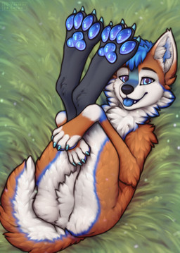 black_nose blue_claws blue_eyes blue_hair blue_markings blue_pawpads blue_tongue brown_eyebrows claws eyebrows feral fur grass hair hugging_legs inner_ear_fluff lying male markings on_back on_grass on_ground open_mouth orange_body orange_fur pawpads paws plant short_hair solo tail teeth tongue tongue_out tuft white_body white_fur varness-crowe canid canine mammal colored digital_drawing_(artwork) digital_media_(artwork) hi_res shaded
