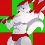 anthro bulge christmas_clothing christmas_headwear clothed clothing costume hat headgear headwear holidays looking_at_viewer male nipples one_eye_closed presenting santa_costume santa_hat solo tight_clothing wink alex_kitsune christmas canid canine fox mammal 1:1 2019 hi_res