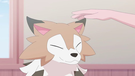 ambiguous_feral ambiguous_gender ambiguous_human black_nose blue_eyes brown_body brown_fur daww duo ears_down eyes_closed feral fur head_tilt headpat inside music one_eye_closed pivoted_ears simple_background snout solo_focus spikes spikes_(anatomy) tail tail_motion tailwag tan_body tan_fur kemonobito nintendo pokemon canid canine generation_7_pokemon human lycanroc mammal midday_lycanroc pokemon_(species) 16:9 2026 2d_animation animated japanese_description short_playtime sound translated_description video widescreen